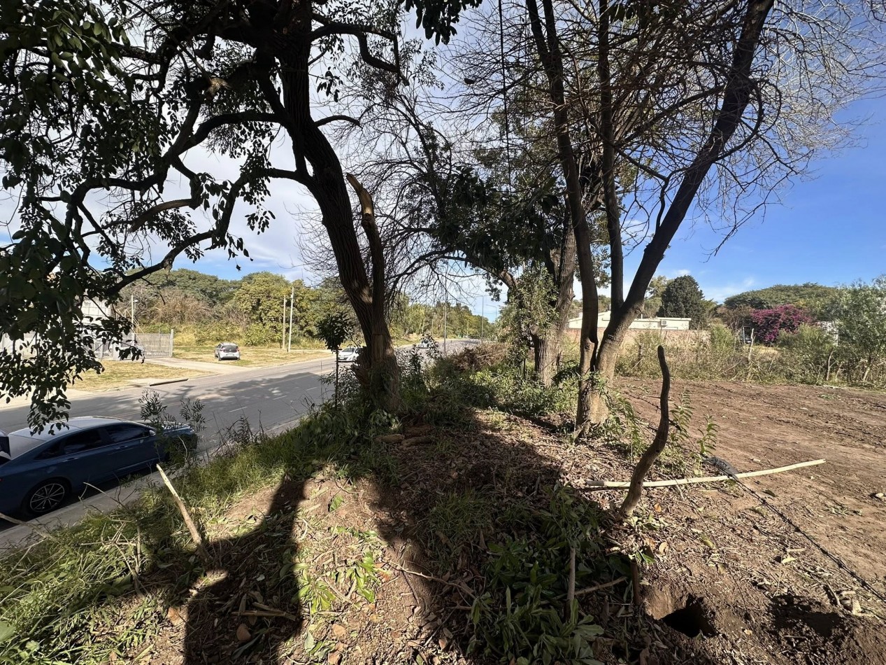 VENDO TERRENO SOBRE AV. ZANNI A METROS DE BALBIN