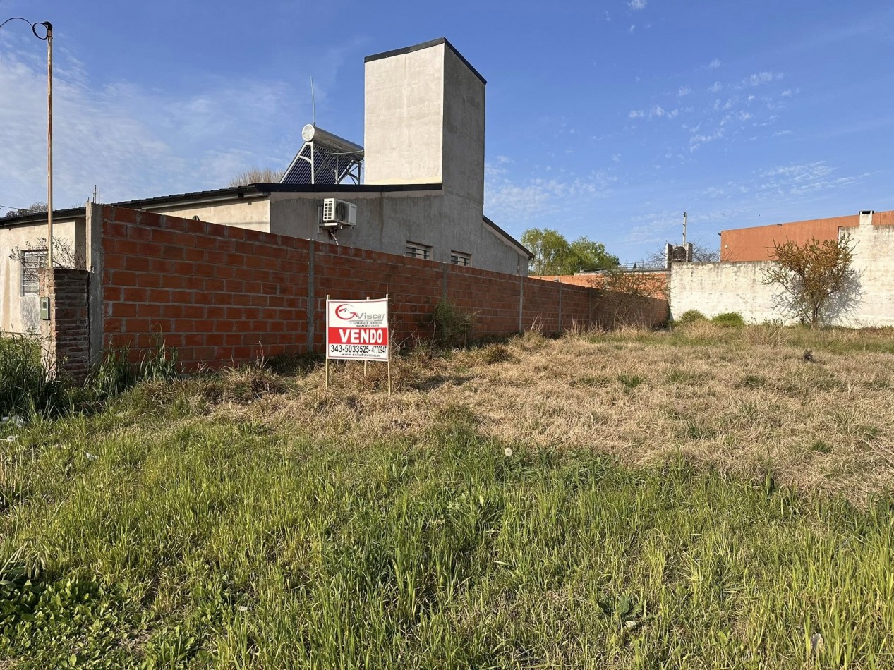 TERRENO EN COLONIA AVELLANEDA ZONA MUNICIPALIDAD