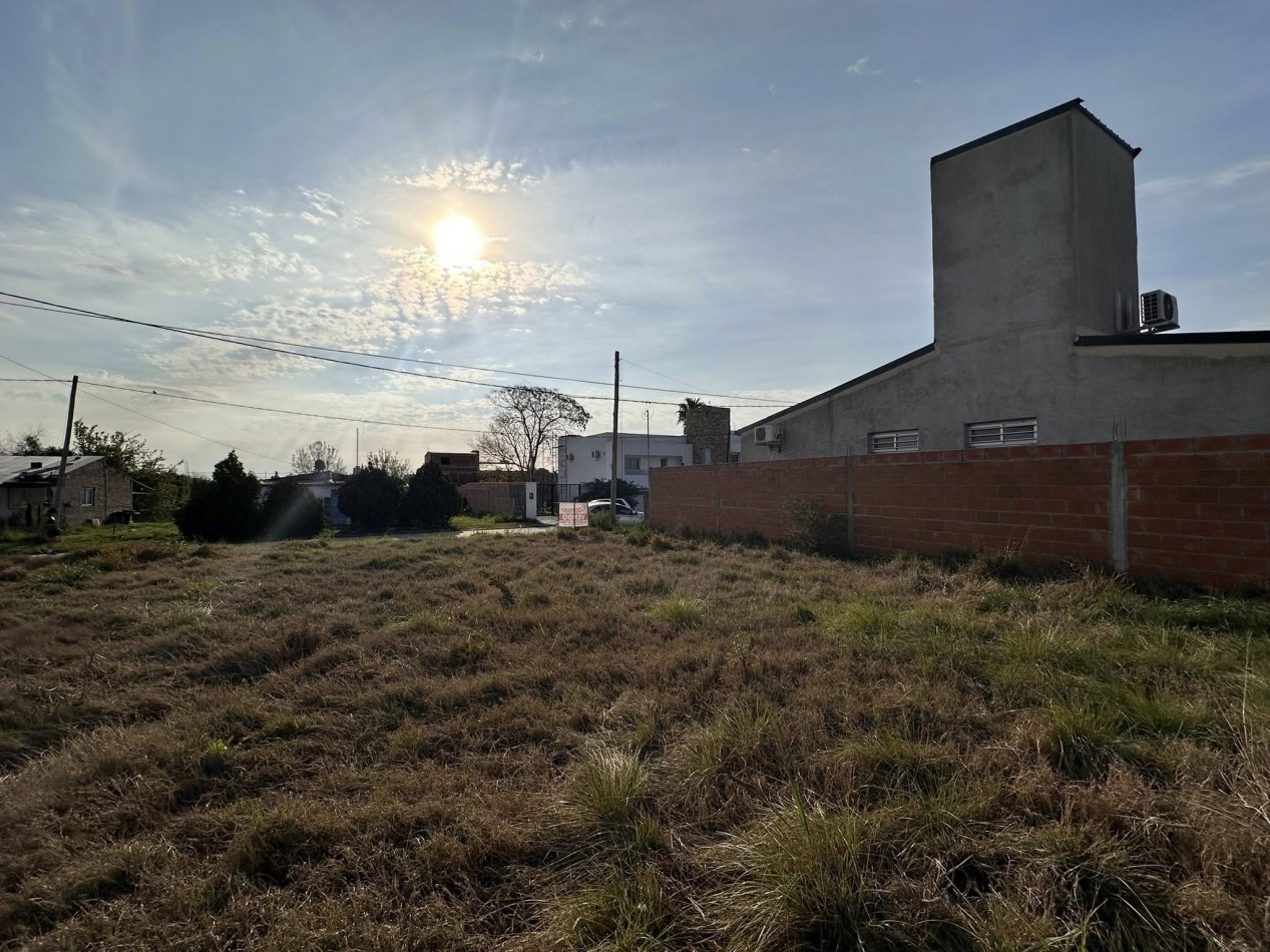 TERRENO EN COLONIA AVELLANEDA ZONA MUNICIPALIDAD