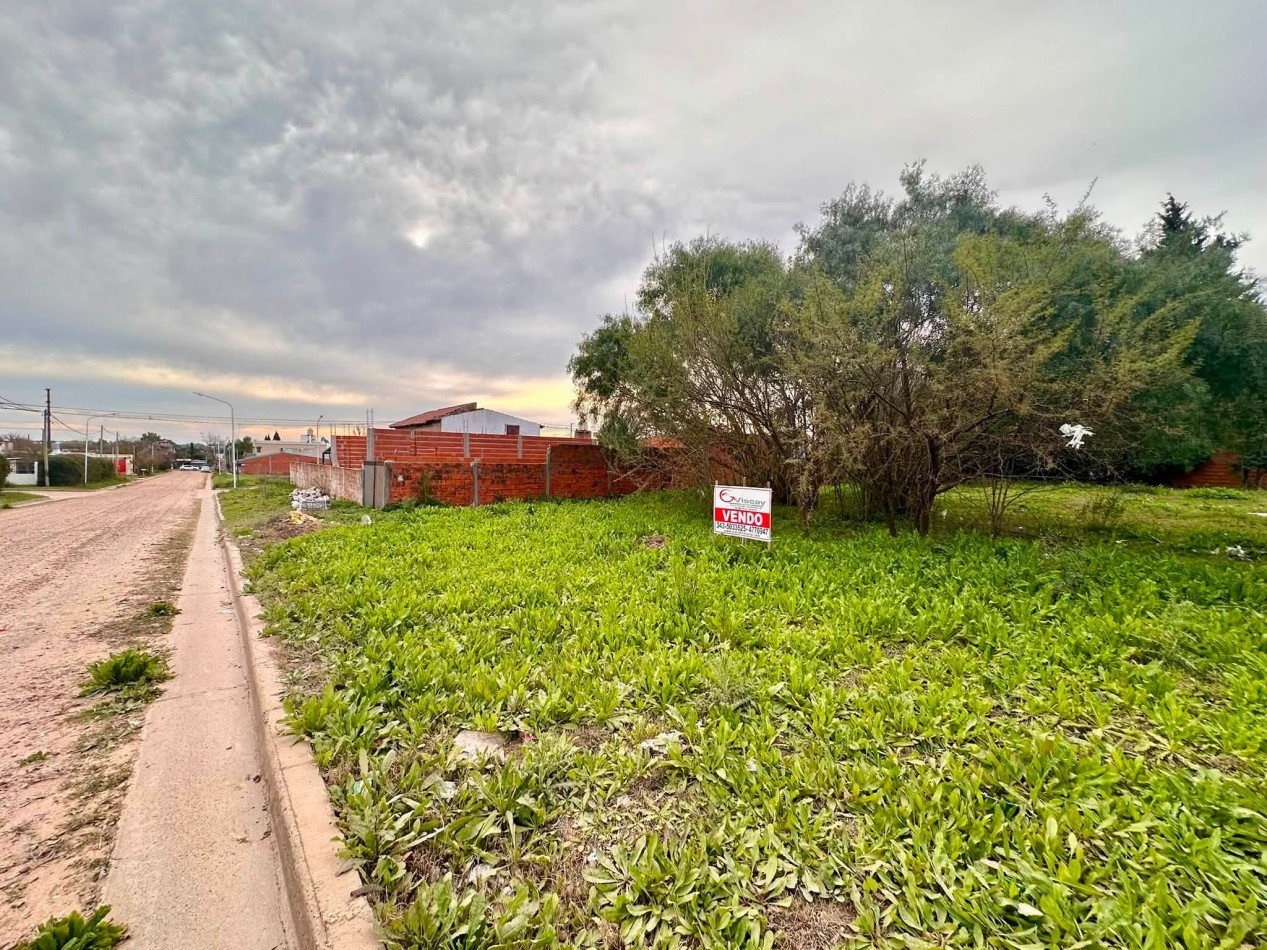 VENDO 3 TERRENOS EN SAN BENITO