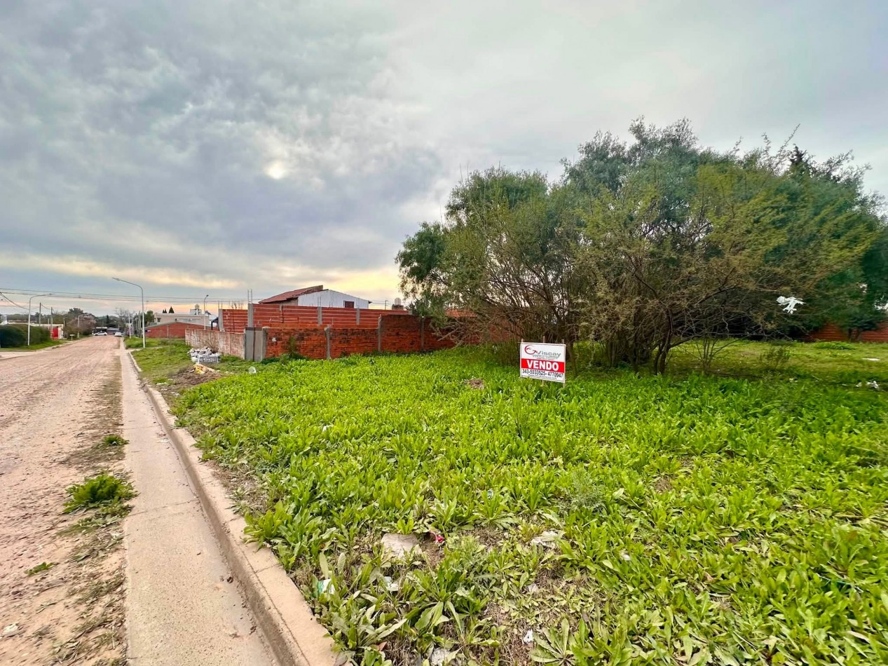 VENDO 3 TERRENOS EN SAN BENITO