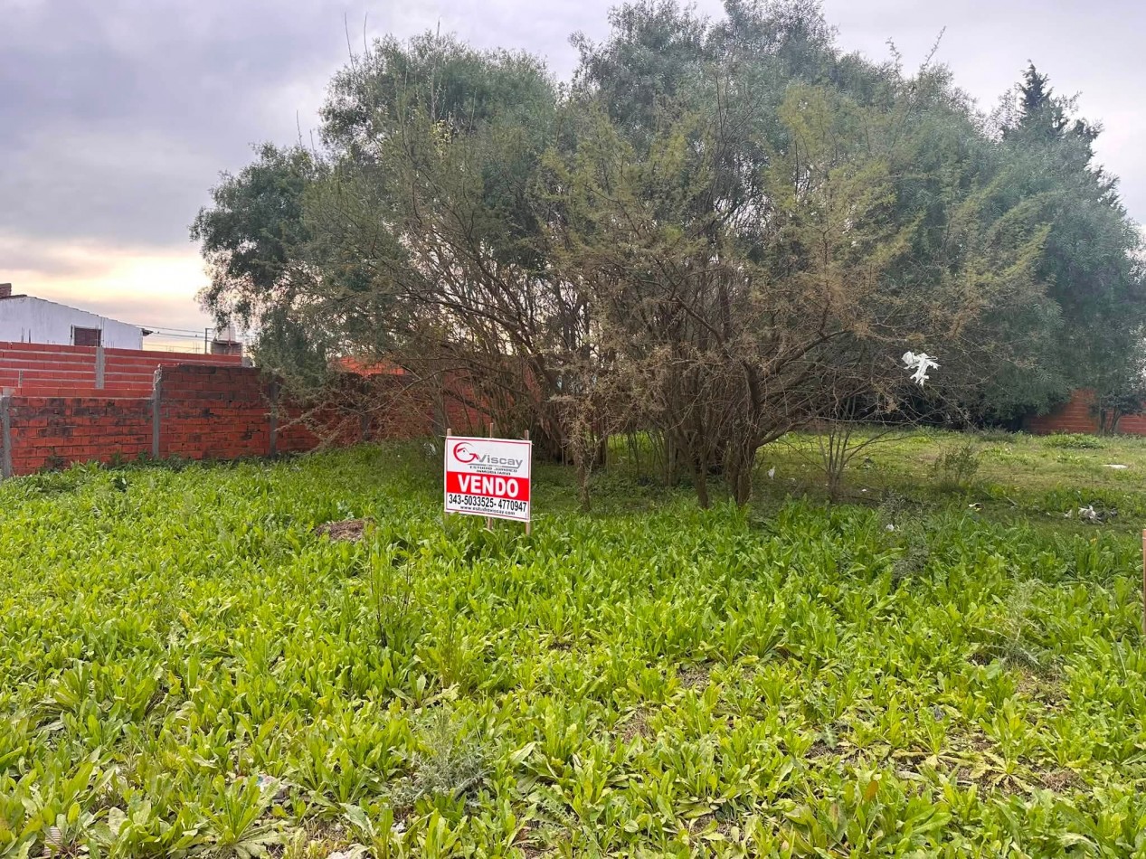 VENDO 3 TERRENOS EN SAN BENITO