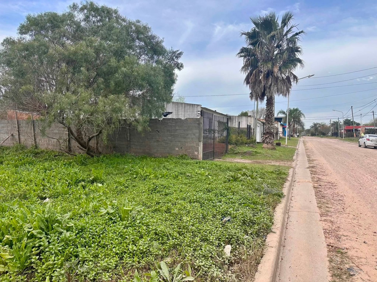 VENDO 3 TERRENOS EN SAN BENITO