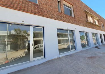ALQUILO DEPTO 1 DORM. BLANES Y AV.ZANNI