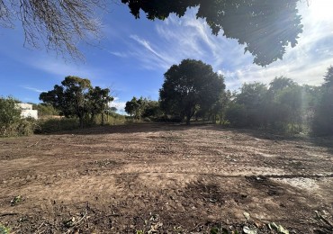 VENDO TERRENO SOBRE AV. ZANNI 