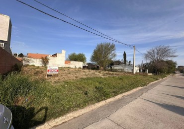 TERRENO EN COLONIA AVELLANEDA ZONA MUNICIPALIDAD