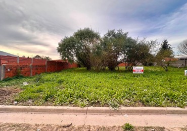 VENDO 3 TERRENOS EN SAN BENITO